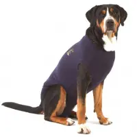 Medical Pet Shirt Hund - Blau - XXXS