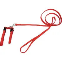 Beeztees Nylon Katzengeschirr - Rot
