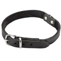 Beeztees Hundehalsband Leder - Schwarz - 62 cm x 25 mm