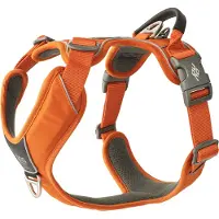 Dog Copenhagen V3 Comfort Walk Pro Harness Orange Sun XS