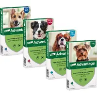Advantage Nr. 40 Flohmittel (bis 4 kg) Hund
