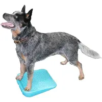 FitPAWS Balance Ramp - 35 cm