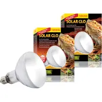 Exo Terra Solar Glo Sonnensimulierende Glühbirne