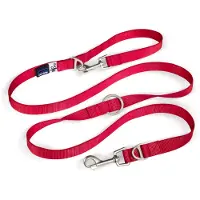 Curli Verstellbare Leine Nylon - 200 x 2 cm Rot