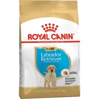 Royal Canin Labrador Retriever Junior, Welpe, Labrador Retriever, Groß (26-44 kg), Mais, Geflügel, Reis, 12 kg