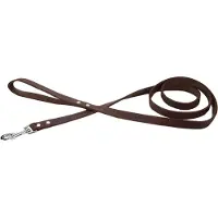 Beeztees Enjoy Hundeleine - Schwarz - 165 cm x 16 mm