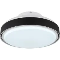 Globo 03667S