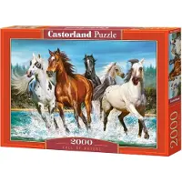 Castorland Call of Nature 2000 pcs, 2000 Stück(e), Tiere, 9 Jahr(e)