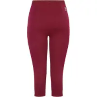 Dare 2b - "In The Zone II" 3/4 Leggings für Damen (Feige)