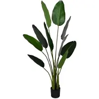 HBX Deco Deko-Strelitzia d80h150cm grün