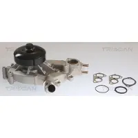 TRISCAN Wasserpumpe 8600 80022