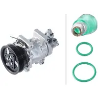 Hella Klimakompressor 12 V Ø 125 mm Thermo-Expertise für u.a. RENAULT THALIA