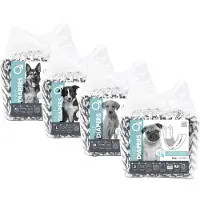 M PETS Hundewindeln Rüde - XL - 810 × 200 mm - 12 Stück
