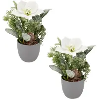 Creativ Green Winterliche Kunstpflanze "Arrangement mit Christrose" mit üppiger Blütenpracht