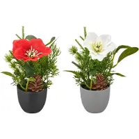 Creativ Green Winterliche Kunstpflanze "Arrangement mit Christrose" mit Tannenzweigen und Zapfen