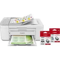 Canon PIXMA TR4756i + 1 Satz XL-Reservepatronen