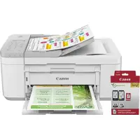 Canon PIXMA TR4756i + 1 Satz Reservetinte + Fotopapier