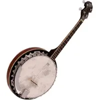 Barnes & Mullins BJ304GT Perfect Irish Gaelic 4-saitiges Banjo