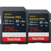 SanDisk microSDXC Extreme 256GB 130 MB/s Doppelpack
