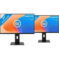 BlueBuilt 24 Zoll Full HD Monitor Doppelpack
