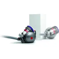 Dyson Bodenstaubsauger "Big Ball Parquet 2", grau (violett), B:30,6cm H:96,5cm T:73,8cm, Bodenstaubsauger, mit hygienischer Behälterentleerung, der sich selbst wieder aufrichtet, Bodenstaubsauger