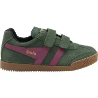 Gola Harrier