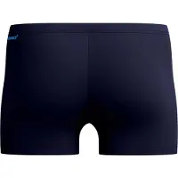 Speedo Duo Logo Print Badeshorts