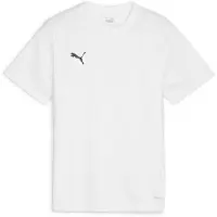 Puma Teamgoal Trikot Kurzarm Kinder - Weiß