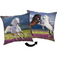 Jerry Fabrics FABRICS Kissen Pferd 02 Polyester, Wiese 40/40 cm