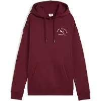 Puma Damen Kapuzensweat CLASS Relaxed Hoodie FL