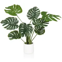 Hjh OFFICE Monstera I