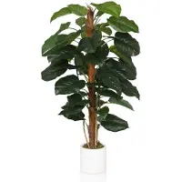 Hjh OFFICE Epipremnum