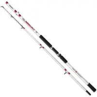Zunzun Zahara Spinnrute Weiß 2.40 m / 150-300 g Weiß 2.40 m
