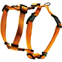 Dogman H-Harness Iris Orange M/L