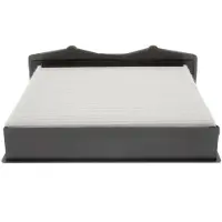 Champion Filter, Innenraumluft CCF0132