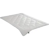 Badenia irisette 4-Jahreszeiten-Steppbett Irisette Lyocell Größe 200 x 200 cm