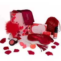 Dream Toys Dreamtoys Amour - Herzvibrator Geschenkset (rot)