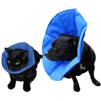 SoftE Smart Collar - 14 cm