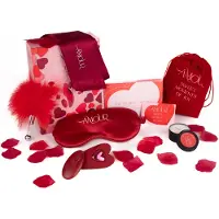 Dream Toys Dreamtoys Amour - Höschen-Vibrator-Set (rot)