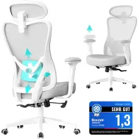 Songmics Ergonomischer Bürostuhl mit verstellbarer Unterstützung OBN066GD01