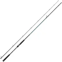 Daiwa Caldia Seabass Standard Ii Spinnrute