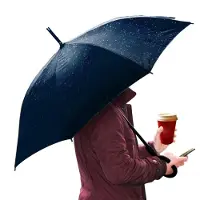 Platinet UMBRELLA C HANDLE SEMI AUTO POLYESTER BLUE 45007