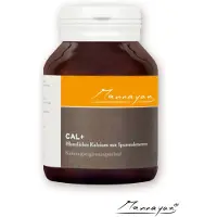Mannayan Cal + 60 St