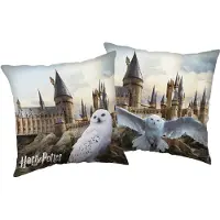 Jerry Hedwig at Hogwarts Kissen, dekoratives Kissen 40x40 cm