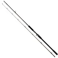 Westin W4 Powershad-t 2nd Baitcastrute Schwarz 2.55 m / 60-180 g Schwarz 2.55 m