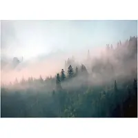 WALLARENA FOTOTAPETE Wald im Nebel Vliestapete Tapete 350x250