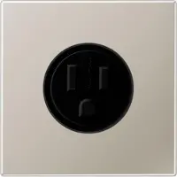 JUNG Steckdose 1f edst mt LS UP IP20 ZP NEMA ES2521-15