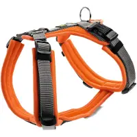 Hunter Geschirr Maldon Up XS-S, orange/grau