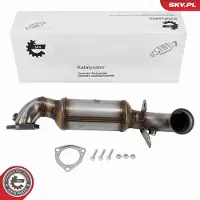 ESEN SKV Katalysator 62SKV139