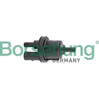 Borsehung Ventil Aktivkohlefilter B12317 für VW Golf V Schrägheck (1K1) elektrisch